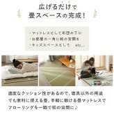 夏ラグ 夏用カーペット 畳 置き畳 折りたたみ い草 天然素材 天然い草 DIY フロア畳 ユニット畳 フローリング畳 カーペット マットマットレス 和室 軽量 空気清浄 保温性 調湿 縁なし リラックス効果