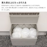 SOLOW ソロウ 出し入れがスムーズな屋外ストッカー 250L[屋外 収納ボックス 屋外ストッカー 物置 大型 収納庫 ベランダ ゴミ箱 ゴミストッカー 日本製 ゴミ収集庫 宅配ボックス 薄型 スリム コンパクト 分別 ごみ箱]
