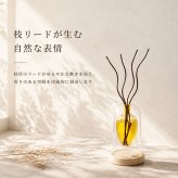 ディフューザー ガラスボトル 通販 リードディフューザー ルームフレグランス アロマディフューザー 二層構造 入れ替え容器 詰め替えボトル アロマオイル フレグランス おしゃれ ガラス かわいい 玄関 リビング 寝室 北欧雑貨 トイレ 韓国 アロマ お香