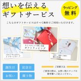 【8月27日発売・予約】 スマートウォッチ アマズフィット バランスウルトラ Amazfit Balance Ultra 腕時計 AI音声操作 音声通話 通知機能 GPS 音楽保存 AMOLEDディスプレイ 30日間ロングバッテリー 水深45mダイビング スキューバ ゴルフラウンド 【ラッピング無料 誕生日 お祝い プレゼント ギフト 贈り物】