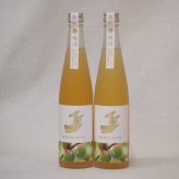 梅酒2本セット(金鯱梅酒) 500ml×2本