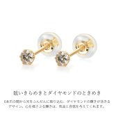 K18 ゴールド ピアス ダイヤモンドピアス 計0.1ct 一粒ダイヤ 18金 18K 片耳(1個)購入可 6本爪 スタッドピアス セカンドピアス シンプル 華奢 上品 ステラ 彼女 妻 女性 レディース 誕生日 プレゼント ハロウィン 【品番：RME-TAC10PDK】