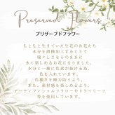 プリザーブドフラワー hanamai  誕生日 花 プレゼント お礼 お祝い 本物 グリーン ナチュラル ギフト メッセージ ガラスドーム 送料無料 お礼 プリザーブド プレゼント おしゃれ リビング インテリア 枯れない花 土日発送 母の日 敬老の日 お中元 お歳暮