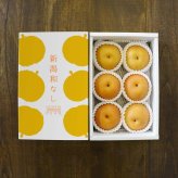 【予約：9月上旬〜随時発送】【お取り寄せご自宅用】にいがた和梨おまかせ便 ギフト プレゼント お中元 お歳暮 出産祝い 内祝い お誕生日 御祝 御礼 母の日 父の日 敬老の日 記念日 手土産 季節の贈り物【送料無料】