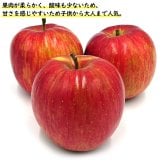 13度糖度保証 長野県産りんご シナノスイート プレミアム 贈答用 果物 フルーツ お取り寄せ 産地直送 【送料無料(一部地域除く)】
