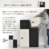 ロック付き収納 レクタンボックスM ONLS0394 ダイヤルロックキー付き 幅30cm 奥行36cm 高さ60cm リビング収納 韓国スタイル カジュアル 角型 スチール 鍵付き収納 鍵付きロッカー パーソナル収納 書類収納 小物整理 オフィ