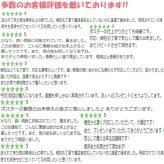 日本製 ギター 60 Mind Blowing Flyer Bashooka A3 サイズ ポスター アート おしゃれ 絵画 インテリア 北欧 イラスト マット紙 艶消し アートパネル 額 フレーム デザイン 壁掛け ギフト 新築祝い ディスプレイ  速達 送料無料