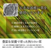 夏ラグ 夏用カーペット 純国産 い草 上敷き 上質ない草で作った カーペット 双目織 江戸間6畳(約261×352cm）