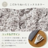 ラグ カーペット 玄関マット マット シャギー 洗える ふわふわ 北欧 おしゃれ オールシーズン 極厚 厚手 マイクロファイバー 速乾保温 かわいい 冬 冬用 秋冬用 長方形 ふかふか