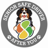 カーサイン 高齢者マーク SENIOR SAFE DRIVER バーニーズマウンテンドッグ マグネット 強力 直径13cm 肉球 日本製 車 ステッカー