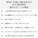 テレビボード 板扉/幅120cm テレビ台 ローボード TVボード 国産 日本製 セミ完成品 リビングボード テレビラック リビング収納 TV台 AVボード おしゃれ ナチュラル ウォールナット ブラウン オーク ホワイト ヴィンテージ〔テレビ台FV〕