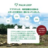 ベッド 寝具 ロー デザイン フレーム 日本製 国産 バイカラー ツートンカラー マットカラー 塗り壁 コンセント付き 木目 宮付き 棚付き マットレス付き ポケットコイル シングル セミダブル ダブル クイーン