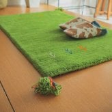 ラグ カーペット マット 玄関 玄関マット おしゃれ 40x60cm シンプルギャッベマット HOT対応 アヤカ 北欧 モダン シンプル デザイン かわいい かっこいい ギャッベ インド製 ホット 床暖 OK 送料無料 手織り 肌触り