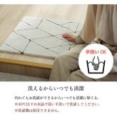 ラグ カーペット 玄関マット へたりにくい 弾力性 約55×85cm シンプル 幾何柄 抗菌防臭