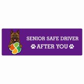 カーサイン 高齢者マーク SENIOR SAFE DRIVER 琉球犬 ステッカー シール 長方形 20x6.7cm 肉球 日本製 車