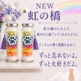 お供え 仏壇 仏花 四十九日 御供 仏花 法事 亡くなった お悔み花 プリザーブドフラワー ペット 猫 犬  枯れない花 ロウソク 線香 アレンジメント 花 お仏壇 仏壇 御供え 御供 お供 お悔み 法要 法事 仏花 四十九日 一周忌 三回忌 七回忌 ボトルフラワー