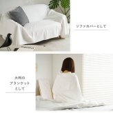 コットンケット 綿100％ スローケット 140×200cm 180×200cm シングル ダブル 洗える 洗濯機対応 オールシーズン 吸湿 通気 ブランケット 毛布 肌掛け ベッド ソファカバー