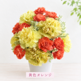 ご希望の色合いで選べる フラワータンブラーアレンジ 高さ23cm 生花 アレンジメント 花ギフト フラワーギフト お祝い 誕生日 記念日 お供え お悔やみ そのまま飾れる 手作り 鮮度重視 送料無料【北海道・沖縄・九州・四国・中国・離島は配送不可】
