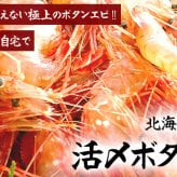 ボタンエビ 活 〆 オス 大中サイズ 1kg 秋 北海道 噴火湾産 送料無料※沖縄は送料別途加算
