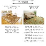 ラグ カーペット ナイロン 花柄 撥水 速乾 約200×200cm