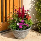 季節の寄せ植え リーフ柄 軽量プラスチック鉢 内径24cm  （グレー・4色展開）６～7種類のお花で構成 ラッピング不可 ギフトメッセージOK