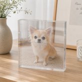 チワワ ガラスブロック 愛犬 ダックスフンド プレゼント 贈り物 サプライズ 写真立て うちの子記念日 記念品 ディスプレイ 飼い主 名入れ オーダーメイド ペット写真 メモリアル ペット仏壇 写真 感謝 高級 うちの子 フォトキューブ クリスタル 記念日 ペットグッズ 置き物 ペットメモリアル ポメラニアン 肉球 ペット オリジナル 愛猫家 メモリアルグッズ ギフト コーギー 小型犬【c01】