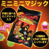 ディズニー コスチューム 大人 休止：セット販売のみに変更：ミニミニマジック（パーティおもちゃ） 在庫限り(MCD)