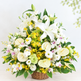 【花 お供え】生花アレンジメント ご希望の色合い イメージで 花屋さんの手作り フラワー 綺麗 お盆 お彼岸 北海道・沖縄・九州・四国・中国・離島への配送は不可