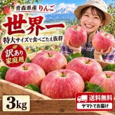 青森県産　りんご　世界一　特大　訳あり　家庭用　3kg　6～10玉　送料無料！