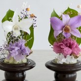 プリザーブドフラワー お供え花 ガラスドーム仏花 蘭音 -らんね-｜お供え デンファレ 蘭 小さい仏花 小ぶり 対 対飾り 仏壇用 初盆 新盆 四十九日 一回忌 三回忌 法事 法要 お供え お悔やみ お彼岸 即日発送 プレゼント ギフト 送料無料