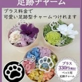 買って被災地応援!15時即日出荷 プリザーブドフラワー  (ミニョン)  ペット 法事 亡くなった 仏花  お供え 位牌花 写真付き 遺影 ペット用 仏具 虹 猫 犬 鳥 ハムスター1周忌 お悔み 供養  3回忌 13回忌 小さめ 虹の橋