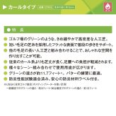 【法人様限定配送】 リアル人工芝 クローバーターフ カールタイプ 幅2m×長さ10m 芝丈13mm グリーンカラー 室内 水はけ パターゴルフ 芝生マット 人工芝生 人工芝ロール 芝生 ロールタイプ 庭 ベランダ テラス バルコニー ガーデニング ガーデン 屋上緑化   雑草対策