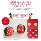 ミズノ トレーニンググッズ メンズ レディース ダンベルボール ボルレッチ ディズニー 2個入り MIZUNO C3JHI202 ミッキー ミニー チップ デール キャラクター インテリア スポーツ トレーニング 筋トレ 筋肉 ジム
