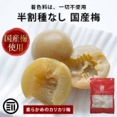 前田家 国産 半割 種なし梅 個包装 145g/290g 着色料不使用 梅干 種なし 国産梅 カリカリ 梅 おやつ 夏バテ 塩分 補給 熱中症対策 熱中症 スポーツ 部活 お弁当 送料無料