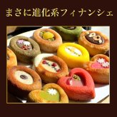 ティグレ プレーン 3個入 ギフト スイーツ かわいい 焼き菓子 フィナンシェ ティグレ チョコレート プレゼント お礼 誕生日 おしゃれ 洋菓子 手土産 贈り物 出産 結婚 お土産 お祝い 内祝い ギフト 個包装 プチギフト （夏季冷蔵配送）