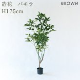 観葉植物 造花 パキラ BROWN 全高約175cm 大型 フェイクグリーン 高級 本物そっくり リアル おしゃれ インテリア 人工観葉植物 アーティフィシャルグリーン オフィス 店舗 ホテル 開店祝い 新築祝い 室内 リビング 玄関 風水 フェイク