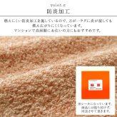 ラグ カーペット 日本 抗菌 消臭 清潔 オーダー 防炎 アレルキャッチャー 抗アレル物質 ダニ対策 シャギー 無地 約2.9畳 約150×300cm