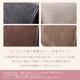 ハンドバッグ ショルダーバッグ ミニショルダー レディース 本革 スエード 2way 牛革 軽量 ミニバッグ 大人可愛い 上品 きれいめ Clelia Allegro クレリア アレグロ CL-20151 母の日 クリスマス クリスマスプレゼント