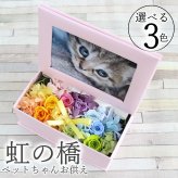 お供え 仏壇 仏花 四十九日 御供 仏花 法事 亡くなった お悔み花 プリザーブドフラワー 虹の橋 猫 犬 ペット お供え 花 法要 供養 水やり不要 ペット用 お悔やみ 写真立て フォトフレーム かわいい