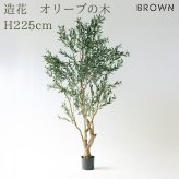観葉植物 造花 オリーブ BROWN 全高約225cm 大型 実付き フェイクグリーン 高級 本物そっくり リアル おしゃれ インテリア 人工観葉植物 アーティフィシャルグリーン オフィス 店舗 ホテル カフェ 開店祝い 室内 リビング 玄関 風水 庭木 オリーブの木