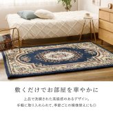 韓国ラグ 韓国風ラグ シェニールラグ ダミニ 長方形 シェニール糸 ジャガード織 滑り止め付き リビング ダイニング 玄関マット キッチンマット ラグマット 絨毯 ふっくら 花柄 上品 高級感 クッション性 レッド ネイビー コンパクト おしゃれ