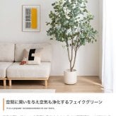 【高さ200cm】光触媒人工観葉植物 ユーカリ 幅70cm×奥行60cm×高さ200cm オフィス 天然木 ポリエステル 組立品 お部屋に気軽に飾れて空間を美しく彩るフェイクグリーン 本物の植物のようなリアルな質感とインテリアに馴染む風合いが魅力です