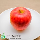 養田さんのはねだしりんご　シナノドルチェ　サビ・キズあり　家庭用　約5kg　8-23玉　長野県志賀高原産