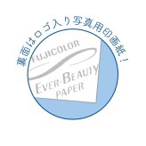 ディズニー トイストーリー5 コレクションスマロイド 全15種 コンプリートBOX 日本製 Disney 送料込み
