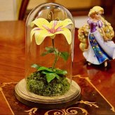 ラプンツェルの魔法の花☆HappyWishLily