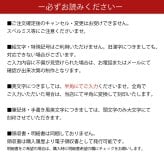 【名入れ無料】携帯灰皿 栃木レザー 本革 おしゃれ  メンズ レディース カラビナ付き 携帯 灰皿 携帯アッシュトレイ 日本製 革 刻印 タバコ たばこ 喫煙具 アウトドア キャンプ ブランド ギフト プレゼント 贈り物  父の日 母の日 敬老の日 誕生日 記念日 釣り バーベキュー