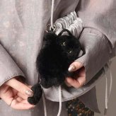 ポーチ ぬいぐるみキーホルダー もこもこ アニマル ポーチ もふもふ アニマル ミニポーチ カラビナ ぬいぐるみ 小物入れ アクセサリーケース ふわふわ ファー 可愛い レディース 小銭入れ 刺繍 猫 トイプードル シーズー ヒョウ コインケース バッグチャーム