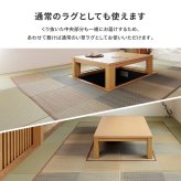 夏ラグ 夏用カーペット 掘りごたつ対応 い草ラグ 約240×240cm 正方形 中抜き 市松模様 抗カビ 消臭 ござ 炬燵