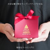 クリスマス ラッピング 紙袋 バッグ リボン 贈り物 サプライズ 記念日 彼女 彼氏 プレゼント おしゃれ