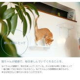 animacolle アニマコレ Catroad+  キャットステップ　ホワイト